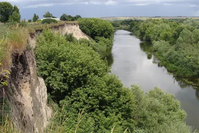 Тихий рассвет на Сейме / Река Сейм, Глушково, Курская область