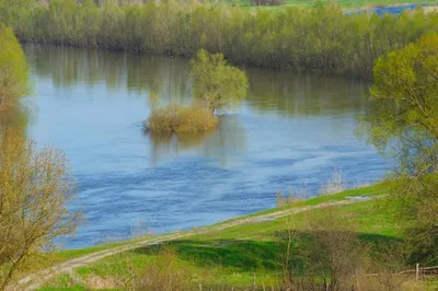 Река Сейм Украина — стоковые фотографии и другие картинки Konotop -  Konotop, Без людей, Вода - iStock