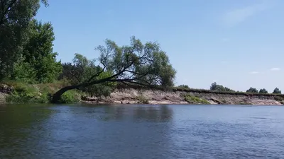 Река Сейм | Карыж (Глушковский район) | Фотопланета