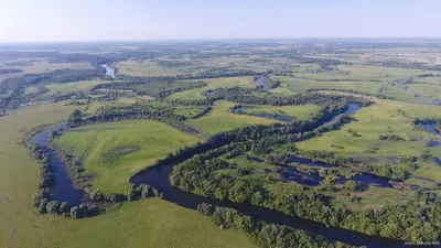 На реке Сейм под Курском восстановят плотины - KP.RU