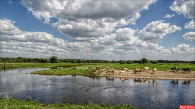В Курске продолжается реабилитация реки Сейм | 24.08.2019 | Курск -  БезФормата