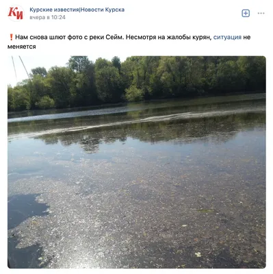 Река Сейм в Курской области загрязнена - Фейк или правда - Лапша Медиа