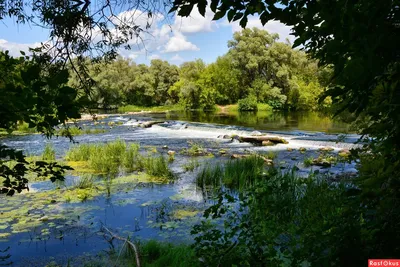 Река Сейм Курск (132 фото) »