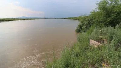 Река Селенга» — создано в Шедевруме