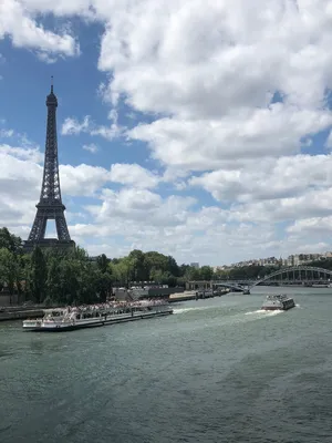 Фотообои \"Река Сена на фоне Эйфелевой башни. Париж. Франция\" - Арт. 080329  | Купить в интернет-магазине Уютная стена