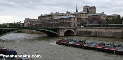 Река Сена преля в Париж - Lupa BG