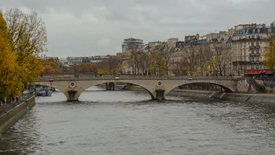 Впервые за 100 лет река Сена в Париже станет доступной для плавания - МЕТА