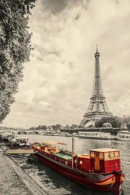 Проливните дъждове в последните дни в Париж направиха река Сена  неизползваема за състезания в открити води