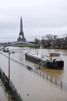 Сена в Париже будет доступна для купания — Piligrimos