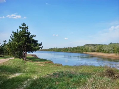 Россия и Украина обсудили программу по оздоровлению реки Северский Донец -