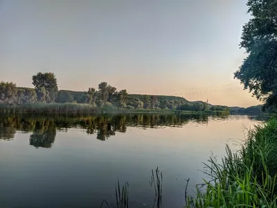 река Северский Донец. :: Виктор ЖИГУЛИН. – Социальная сеть ФотоКто