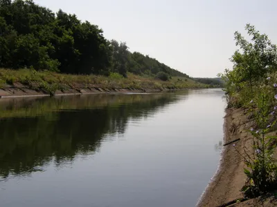 Файл:Река Северский Донец. Коропово3.JPG — Википедия
