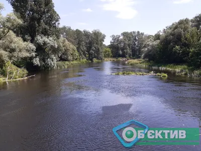 В реке Северский Донец утонул мужчина