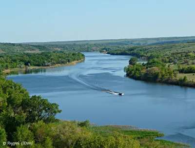 Река Северский Донец очень загрязнена — эксперты | Изюм Информационный