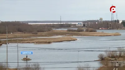 Деревня Иванов Бор возле реки Шексна / The village Ivanov Bohr near the  Sheksna River — Фото №343828