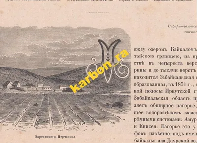 Река Шилка подтопила несколько придомовых участков в Усть-Карске |  Забайкальский рабочий