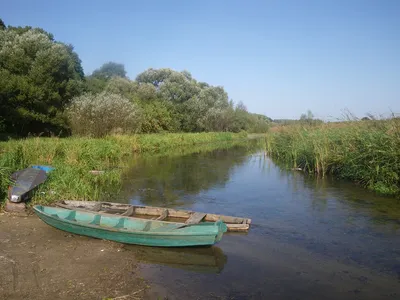 Река Снов от российской границы. Закрытие байдарочного сезона-2015