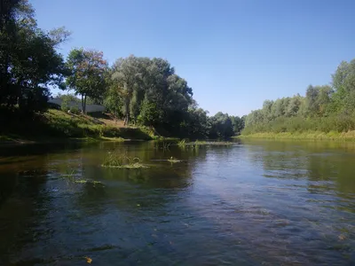 Река Снов. Матрасная детская классика