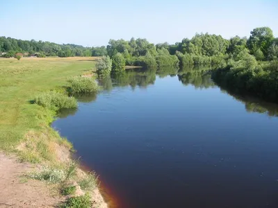 Файл:Snov river (Sedniv, Ukraine) - 2.jpg — Википедия