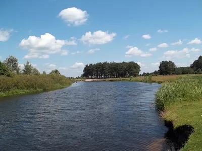 Река Снов. Матрасная детская классика