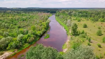 Паводок река Снов, Черниговская обл. — DRIVE2