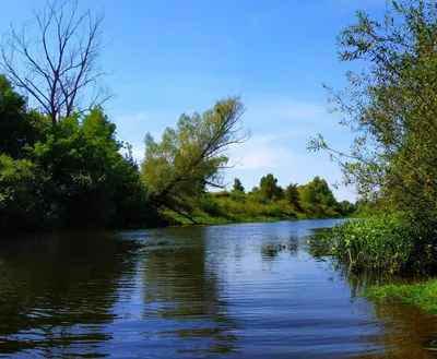 Самая чистая река Европы - Снов (ФОТО) | GreenPost