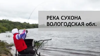 Рыбалка на реке Сухона. Устье-Вологодское. Хороший окунь )) - YouTube