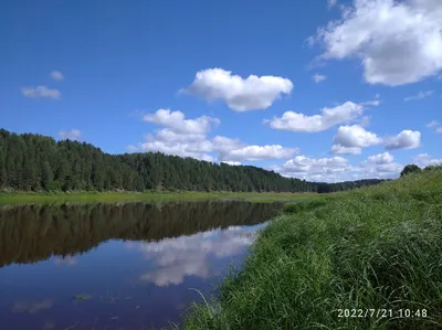 Геологические чудеса на реке Сухона - Лента новостей Запорожья