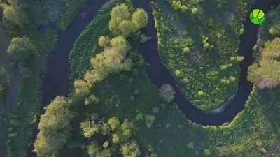 Река Сула, хороша в любое время. Кстати легко перейти вброд во многих  местах уровень воды не велик. #сула #рекабеларусь #сулабеларусь… | Instagram