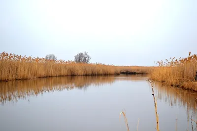 📷 Река Сула. Порог Аккакоски. Фото 1