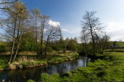 Рыбалка на реке Сула (с. Плехов), Лубенский район, Полтавская область,  2024. Рыбалка Бесплатно