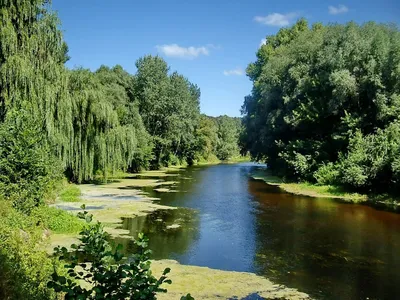 Рыбалка в Украине: Река Сула