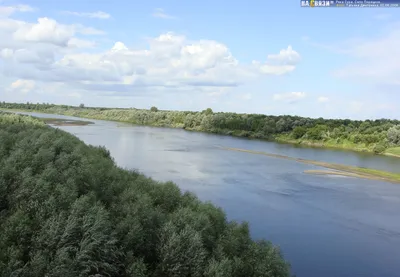 Река Сура - Порецкое