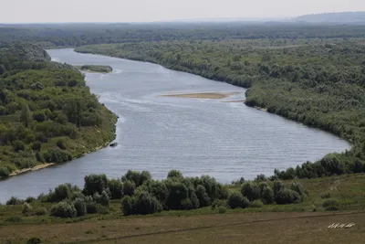 По водным просторам Пензенской области: река Сура