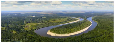 Фотогалерея - Речные экосистемы - река Сура - Природа Республики Мордовия