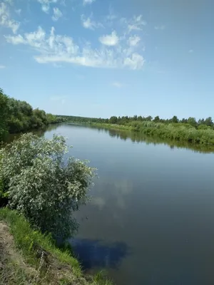 Государственный природный заказник Пойма реки Сура, заповедник, Чувашская  Республика, Шумерлинский муниципальный округ, Государственный природный  заказник Пойма реки Сура — Яндекс Карты