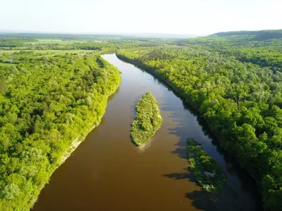 Файл:Река Сура у с. Коржевка.jpg — Википедия