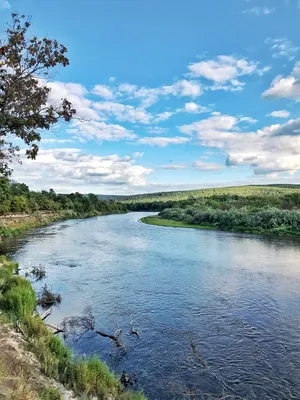 В сети показали фото реки Мокрая Сура с высоты. Новости Днепра