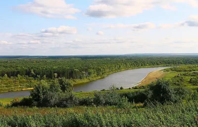 Сура (приток Волги) | это... Что такое Сура (приток Волги)?