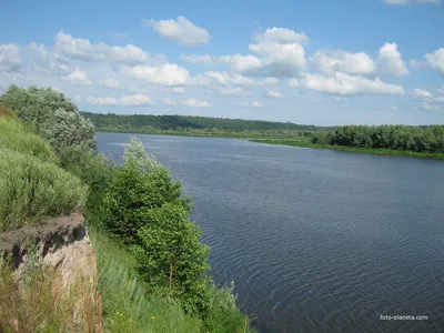 Река Сура в Мордовии (58 фото) - 58 фото