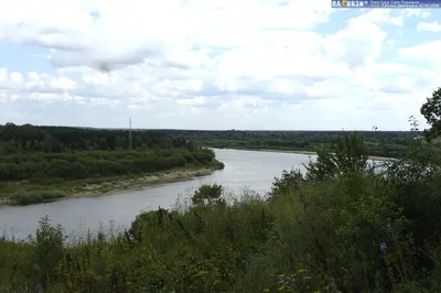 Река Сура в Пензе: как остановить ее превращение в обмелевшее болото — Об  актуальном — Пенза СМИ