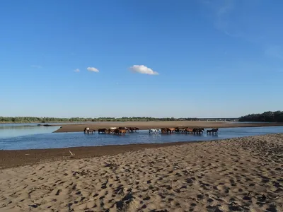 Об обстановке в бассейне реки Сырдарья