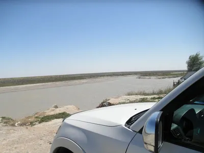 Трагедия на реке Сырдарья на юге Казахстана: одной из погибших было всего 4  года