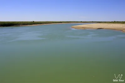 Снижается уровень воды в Сырдарье