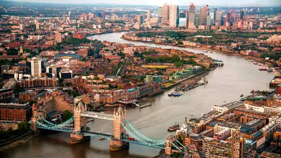 Лондонская река Темза больше не является «биологически мертвой» - веб-сайт  Thred
