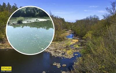 Убытки от загрязнение реки Тетерев в Житомире составили 23 млн гривен -  Korrespondent.net