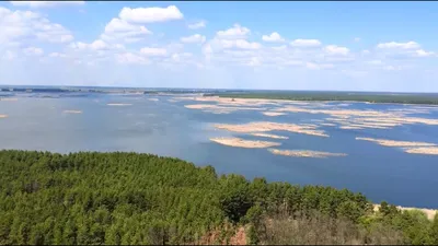 Река Тетерев Житомир загрязняется нечистотами - відео | Стайлер