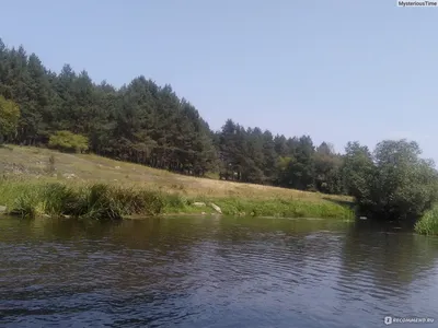 Экологическое бедствие в Житомире: реку Тетерев пятые сутки загрязняют  нечистоты - фото | ЭкоПолитика