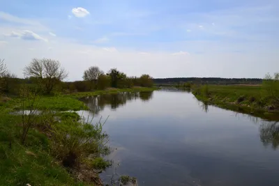 Житомир может остаться без воды из-за обмеления реки Тетерев - RegioNews.ua