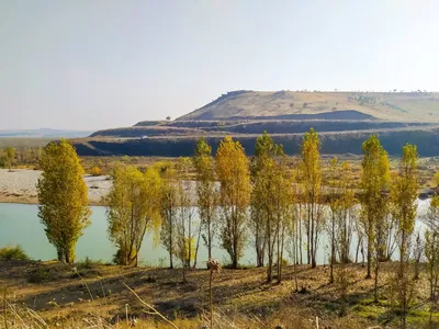 Ирак запросил Турцию выпустить больше воды в реки Тигр и Евфрат | ИА  Красная Весна